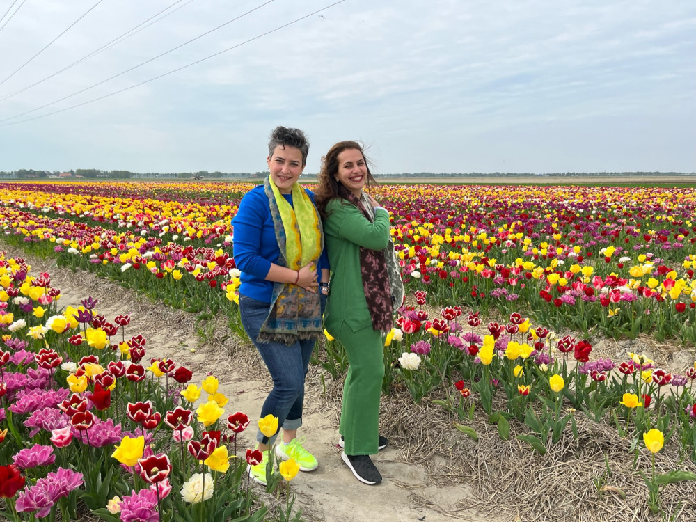 Private Keukenhof, Tulip Farm, Flower Fields & Zaanse Schans Windmills