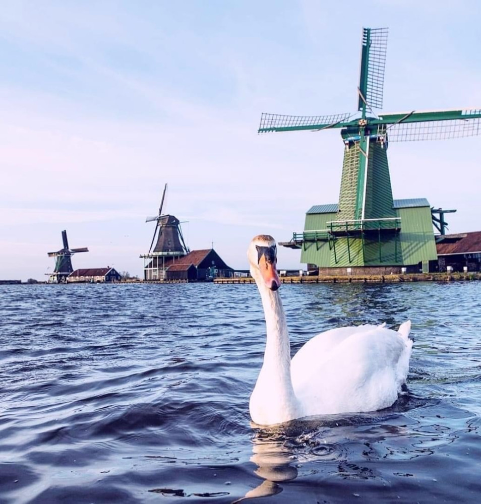 Private Day Tours Amsterdam