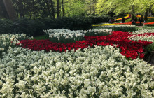 Private Day Tours Amsterdam3