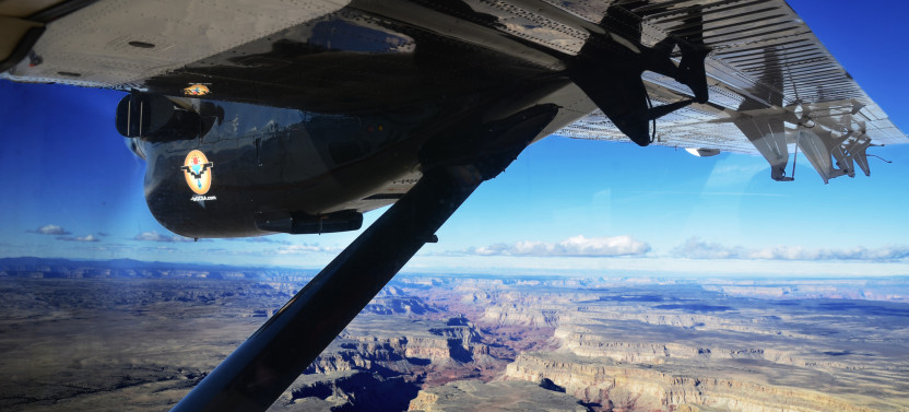 Flight Of The Condor With All Access Pass