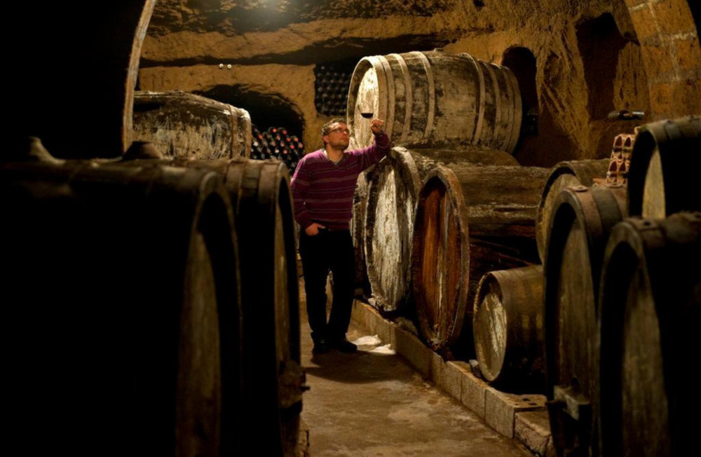 Wine Tasting with Food and Tufa Cellar Visit in Orvieto