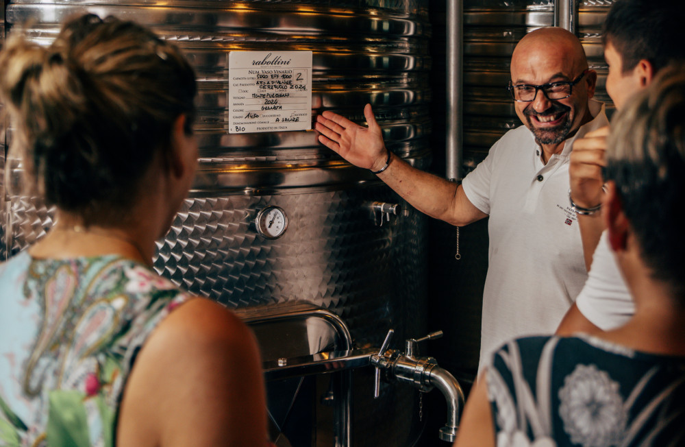 Winery Tour with Wine and Food Tasting in Chieti