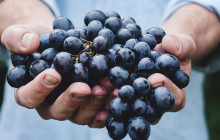 Slow Travel Italia10