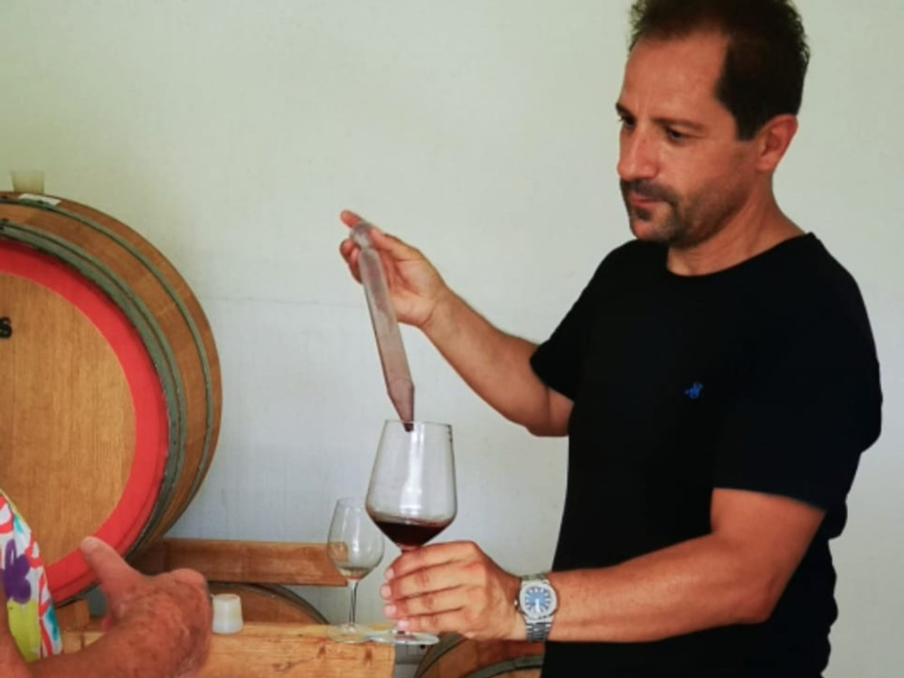 Boutique Winery Tour with Wine & Food Tasting near Cagliari