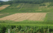 Slow Travel Italia13