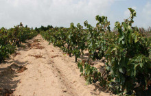 Slow Travel Italia15