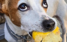 Slow Travel Italia10