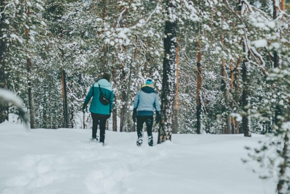 Rovaniemi: Snowshoeing in a Magical Snowy Forest