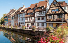 Switzerland Viva Tours19