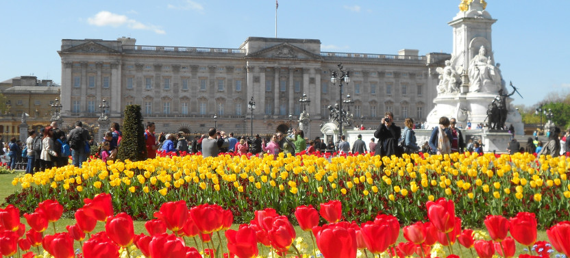 Small Group Buckingham Palace Entrance Tickets & Changing of the Guard