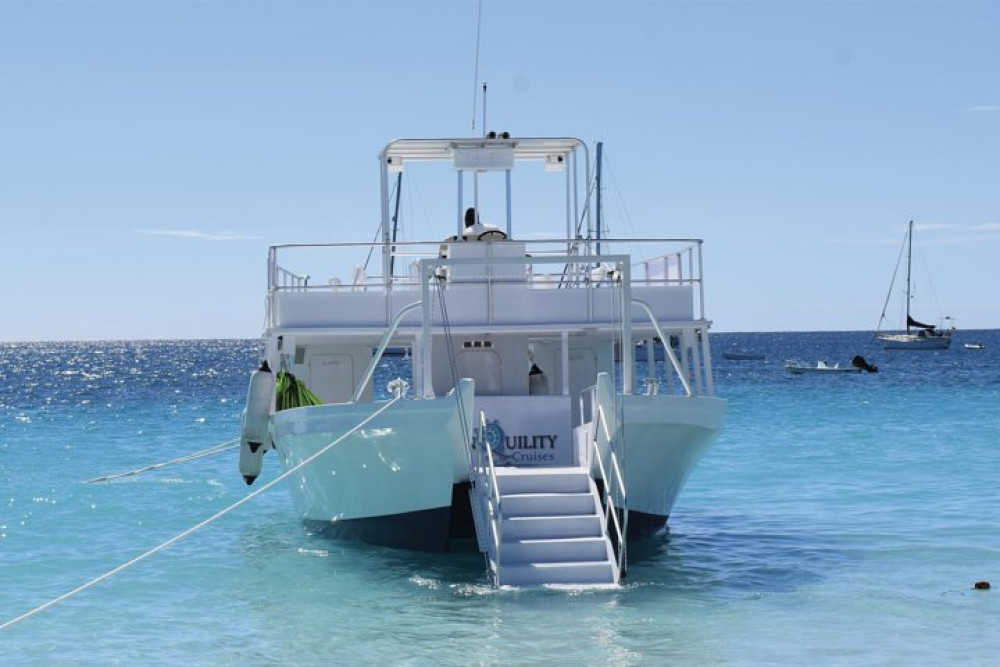 Barbados Shore Excursion Snorkel Cruise and Beach Day on Carlisle Bay