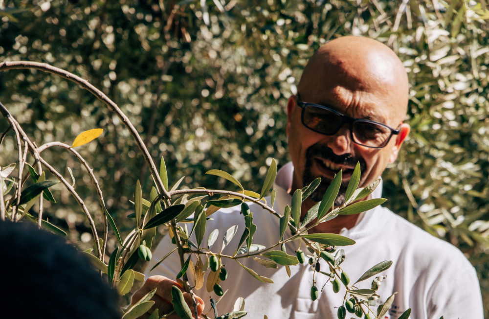 Sustainable Olive Mill Tour with Olive Oil Tasting in Chieti