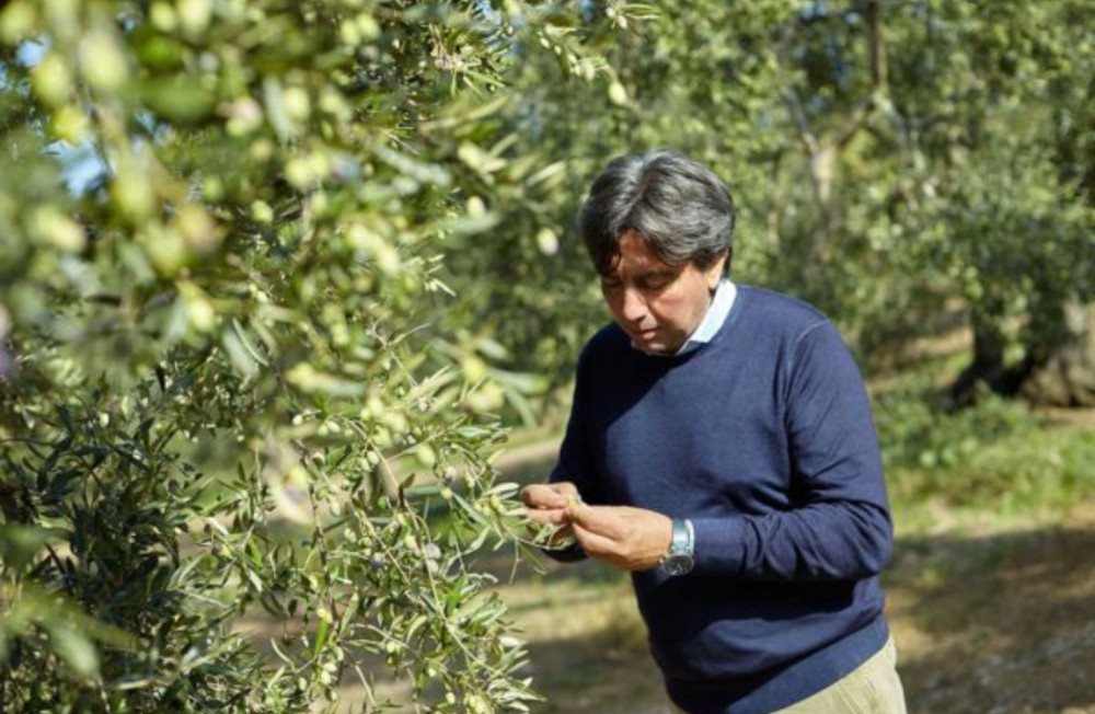 Olive Oil Mill Tour with Tasting near Bari