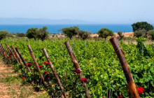 Slow Travel Italia1