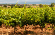 Slow Travel Italia6