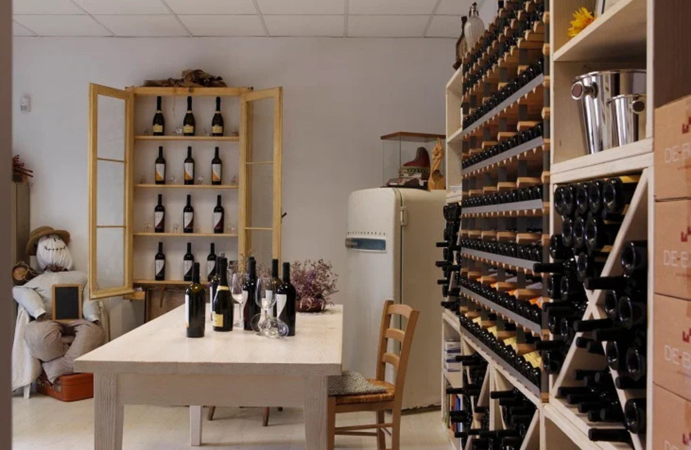 Dolomites Winery Tour and Wine Tasting near Belluno