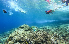 Maui Snorkeling8
