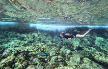 Maui Snorkeling10