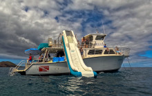 Maui Snorkeling3