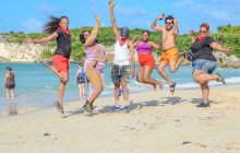 JJC TOURS BUGGY SRL12