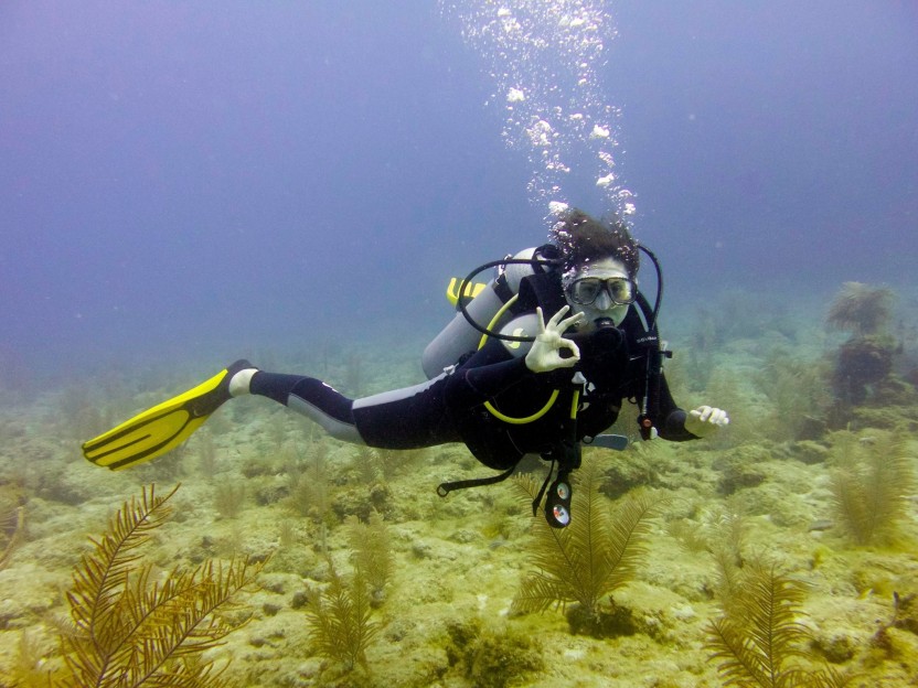 Open Water E-Learning