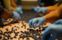 Slow Travel Italia11