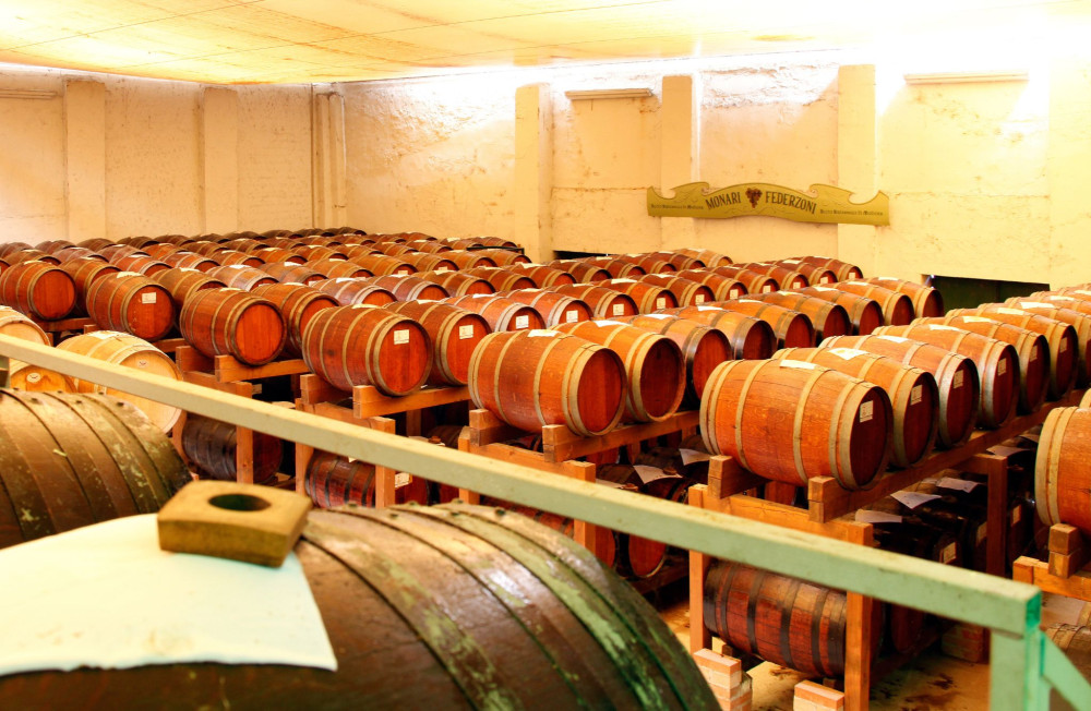 Balsamic Vinegar Tasting & Vintage Car Museum near Modena