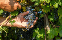 Slow Travel Italia11