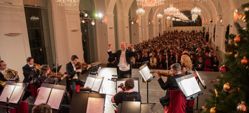 Vienna: Christmas Market and Concert in Schoenbrun