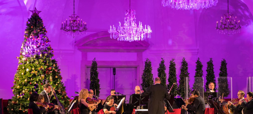 Vienna: Christmas Market and Concert in Schoenbrun