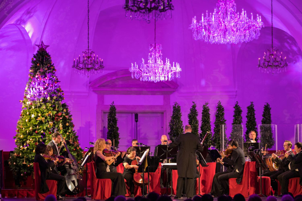 Vienna: Christmas Market and Concert in Schoenbrun