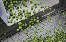 Slow Travel Italia11