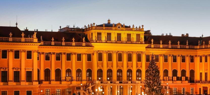 Vienna: Christmas Market, Palace Tour and Concert