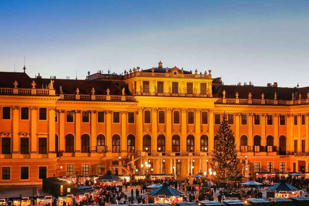 Vienna: Christmas Market, Palace Tour and Concert