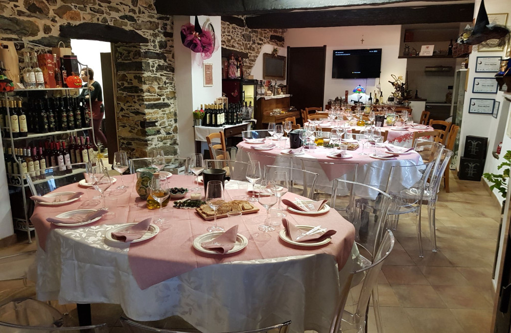 Vineyard Tour with Wine Tasting and Light Lunch near Imperia