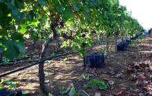 Slow Travel Italia10