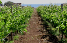 Slow Travel Italia13