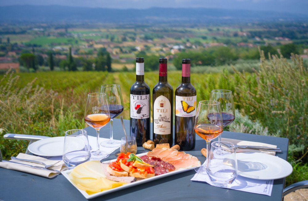 Organic Wine Tasting, Local Food & Vineyard Walk near Assisi