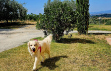 Slow Travel Italia12