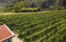 Slow Travel Italia10