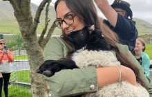 Ireland Wild Escapes6