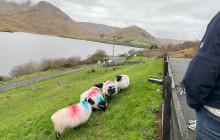 Ireland Wild Escapes7