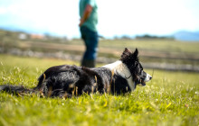 Ireland Wild Escapes10