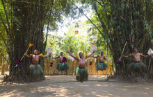 CULTURE VILLAGE (FIJI)PTE LTD14