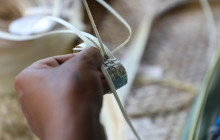 CULTURE VILLAGE (FIJI)PTE LTD18