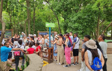 JJC TOURS BUGGY SRL2