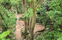 JJC TOURS BUGGY SRL4