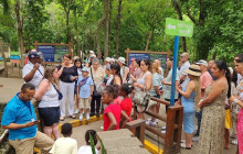 JJC TOURS BUGGY SRL12