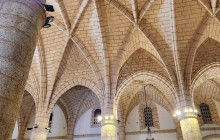 JJC TOURS BUGGY SRL35