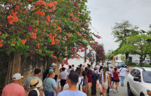 JJC TOURS BUGGY SRL44